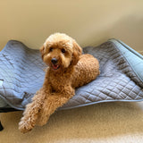 Your Best Buddy | Every Buddy Mat