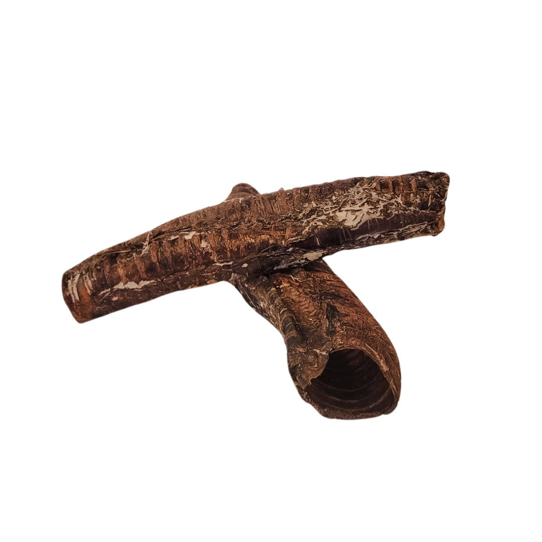 Venison Trachea | Smack Bang Dog Deli