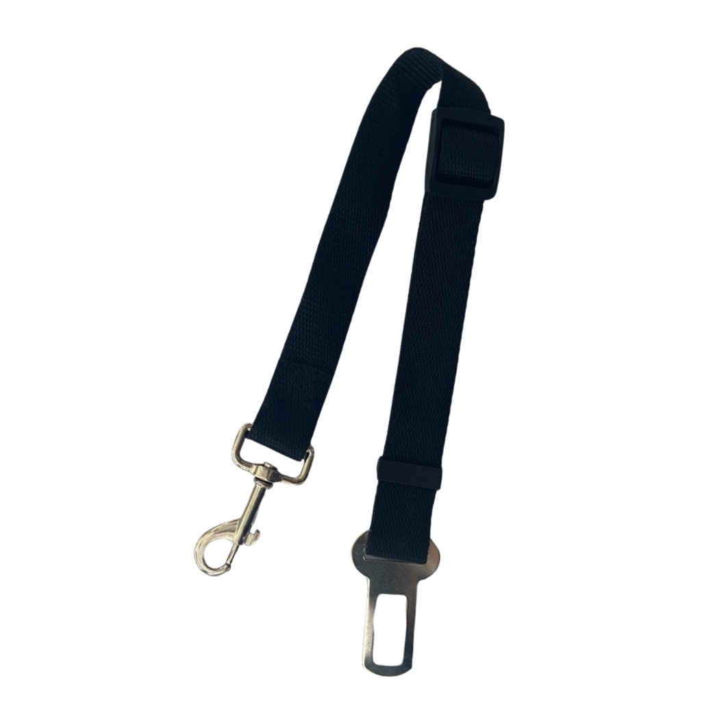 Black Dog Seat Belt | Smack Bang