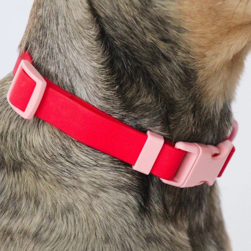 Cherry hotsell dog collar