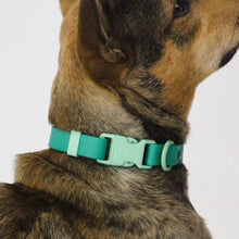 Approved By Fritz Liberty Green Dog Collar | Smack Bang