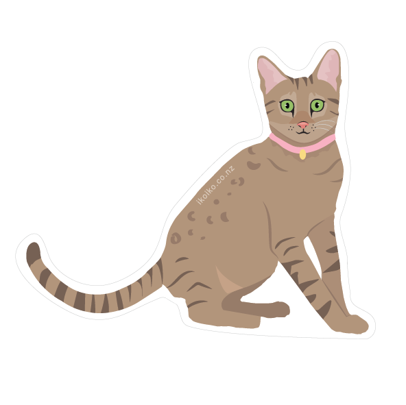 Iko Iko Cat Tabby Fun Size Sticker | Smack Bang