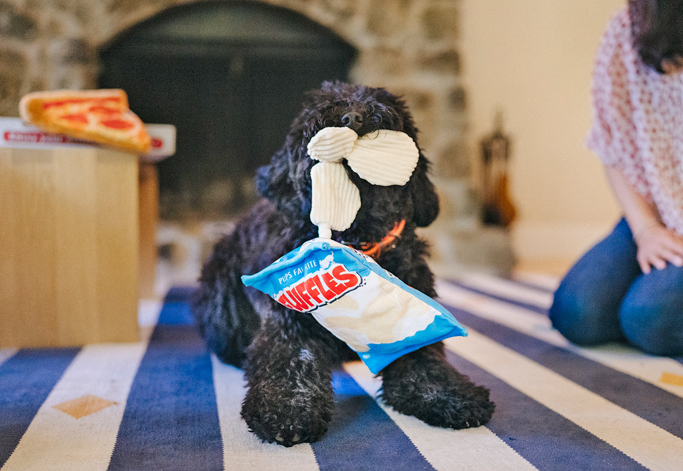 P.L.A.Y. Snack Attack Fluffles Chips Dog Toy | Smack Bang