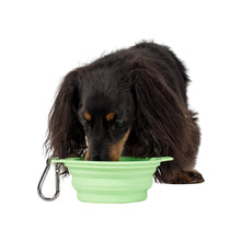 Pablo & Co Lime Collapsible Dog Bowl | Smack Bang