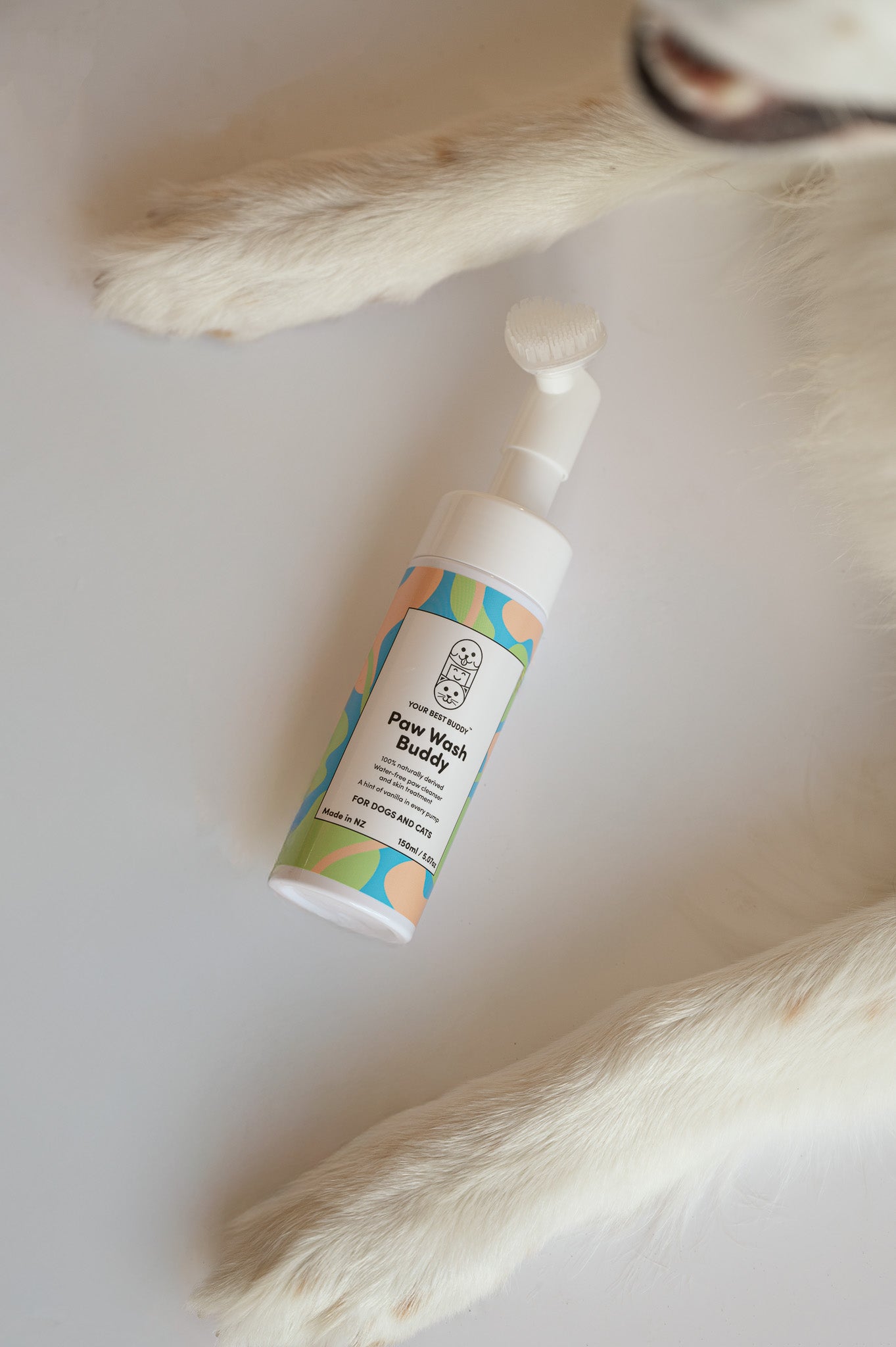 Your Best Buddy | Paw Wash Buddy