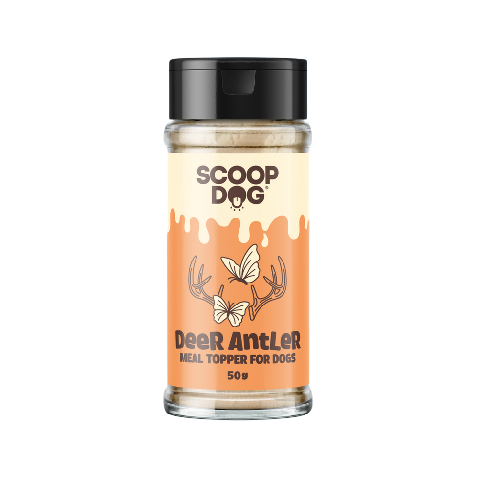 Scoop Dog Deer Antler Meal Topper | Smack Bang