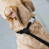 Zee.Dog  | Slip N Lock Leash Gotham