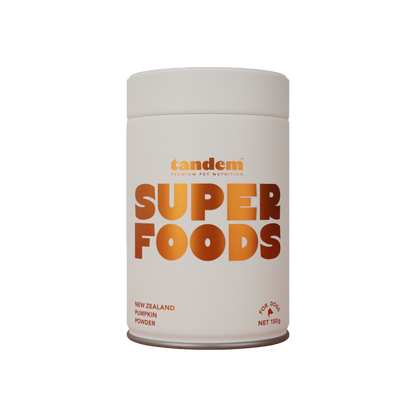 Tandem | Pumpkin Powder