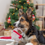 Xmas Dog Toy