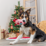 Xmas Pig Toy