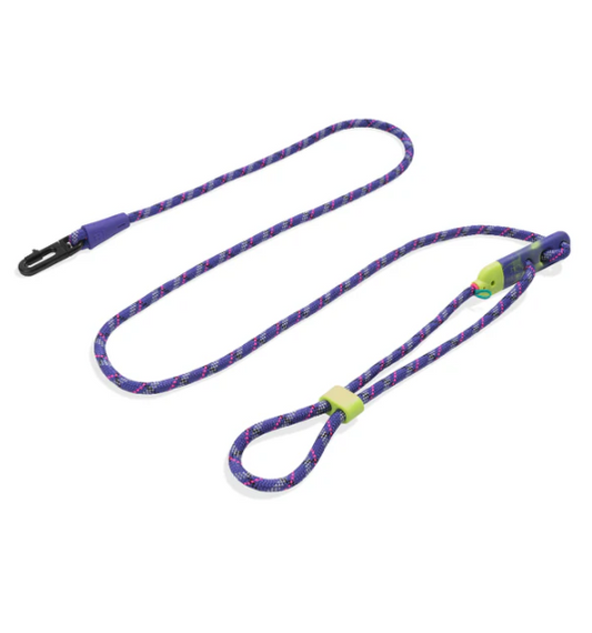 Zee.Dog  | Hands-Free Leash Tokyo