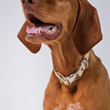 Oh Vienna | Waterproof Dog Collar Light Tan
