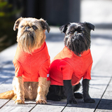 Mr Soft Top Activewear Merino | Electric Orange