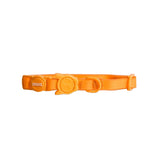 Zee.Cat | NeoPro Cat Collar Tangerine