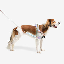 Zee.Dog Softer Walk Peach Dog Harness | Smack Bang
