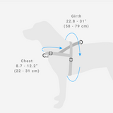 Zee Dog Harness Size Guide | Smack Bang