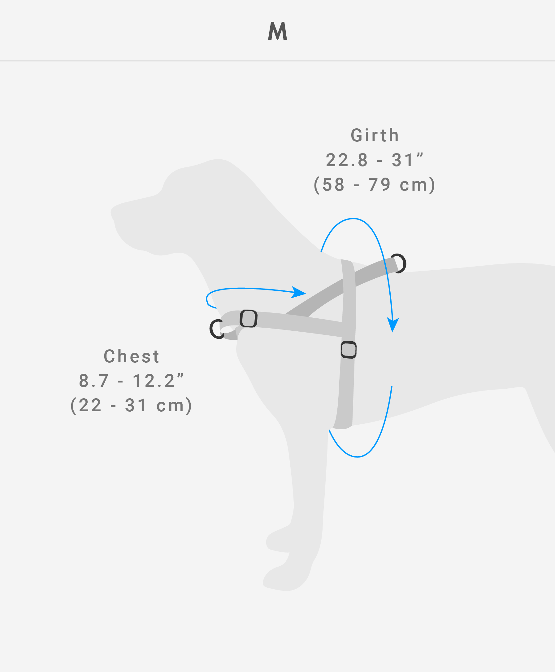 Zee Dog Harness Size Guide | Smack Bang