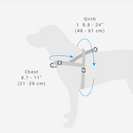 Zee Dog Harness Size Guide | Smack Bang