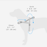 Zee Dog Harness Size Guide | Smack Bang