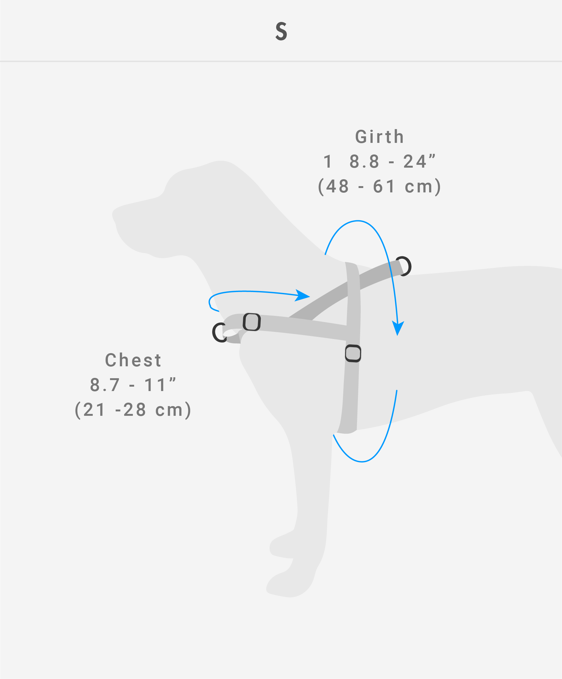 Zee Dog Harness Size Guide | Smack Bang
