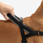 Zee Dog Gotham Softer Walk Harness | Smack Bang