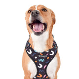 Wolves of Wellington Bel Air Mesh Harness | Smack Bang