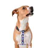 Wolves of Wellington | Sulley All Purpose Harness 2.0 LAST CHANCE