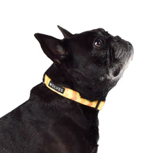 Wolves of Wellington Sunny Side Dog Collar | Smack Bang
