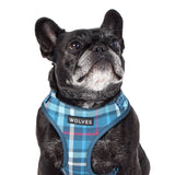 Wolves of Wellington | Lochie Mesh Harness 2.0