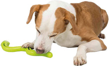 Trixie Snack Snake Dog Treat Toy | Smack Bang
