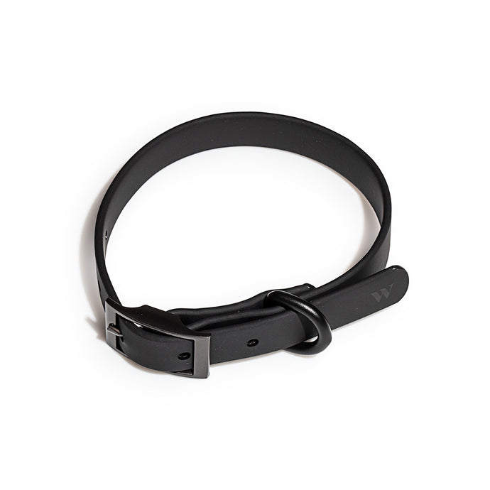 Wild One Black Dog Collar | Smack Bang