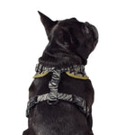 Wolves of Wellington Rambo Mesh Harness | Smack Bang