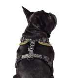 Wolves of Wellington Rambo Mesh Harness | Smack Bang