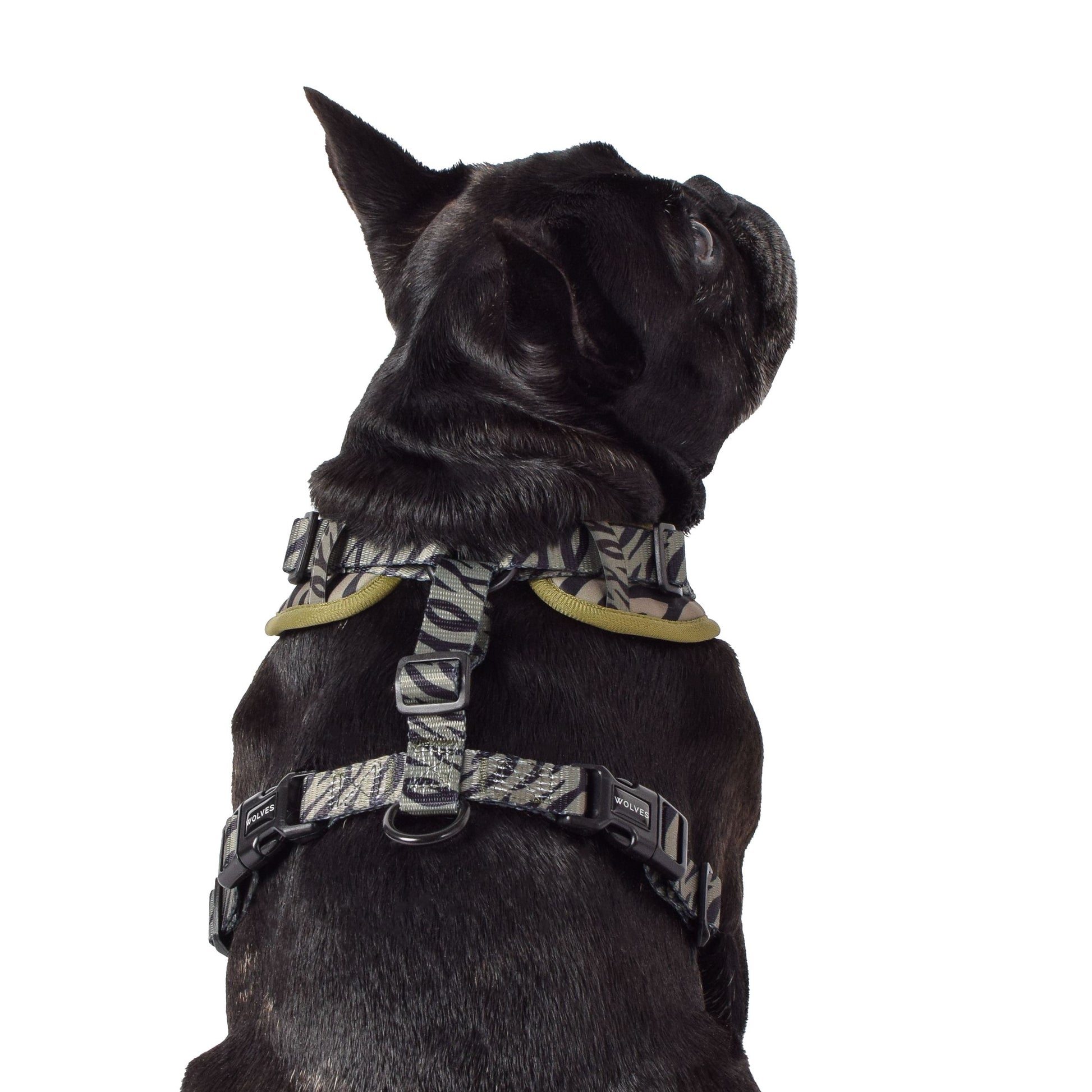 Wolves of Wellington Rambo Mesh Harness | Smack Bang