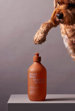 Ashley & Co Awoof Dog Shampoo | Smack Bang