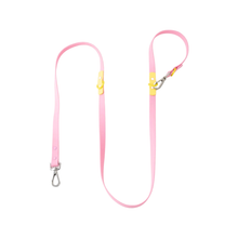 Approved By Fritz Pink Lemonade Dog Leash | Smack Bang