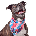 Wolves of Wellington Floss Mesh Dog Bandana | Smack Bang