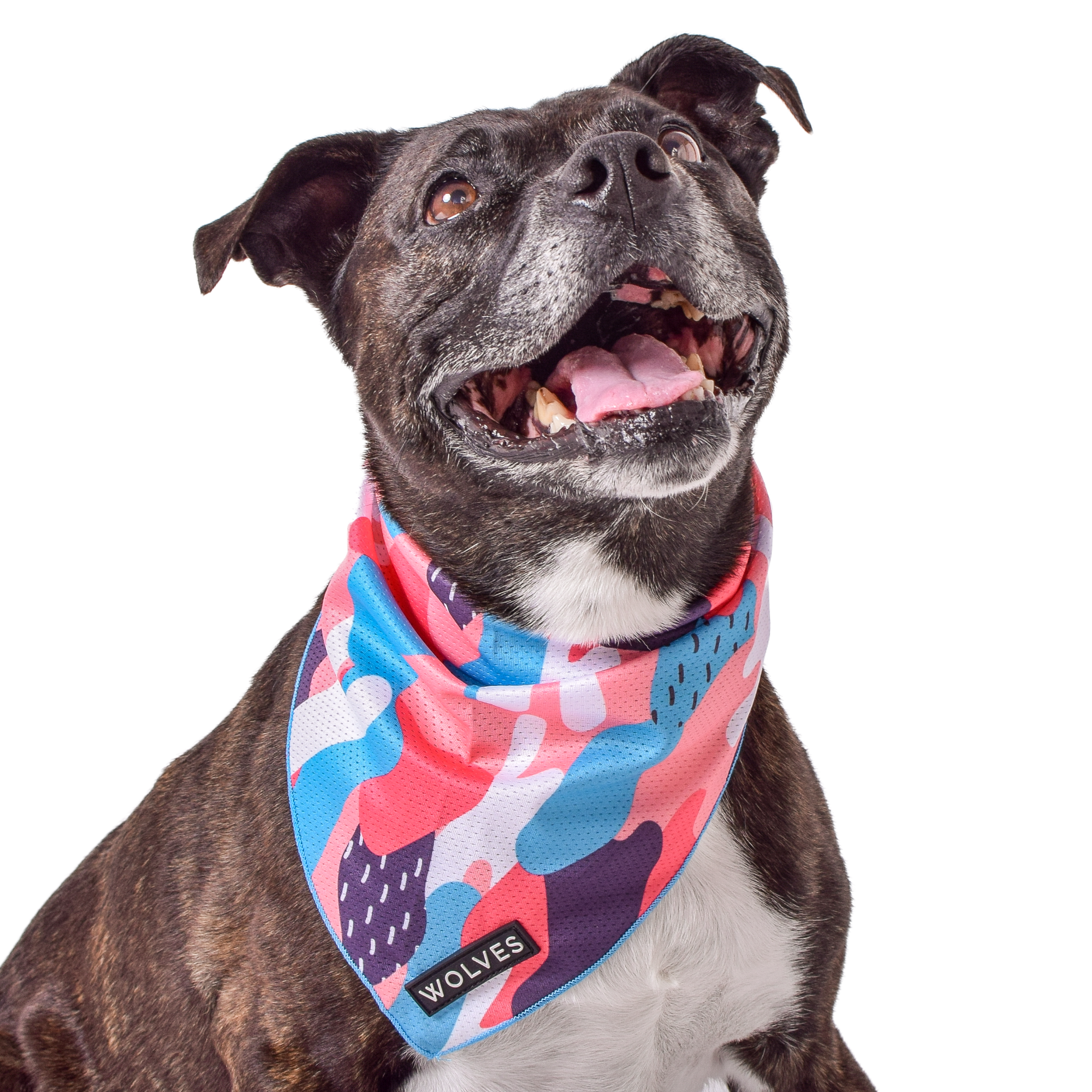 Wolves of Wellington Floss Mesh Dog Bandana | Smack Bang