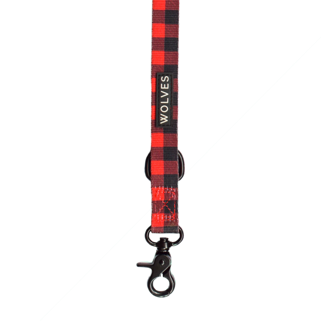 Wolves of Wellington Buffalo Adjustable Dog Lead | Smack Bang