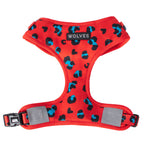 Wolves of Wellington Cleo Mesh Harness | Smack Bang