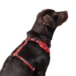 Wolves of Wellington Cleo Mesh Harness | Smack Bang