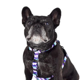 Wolves of Wellington | Sulley All Purpose Harness 2.0 LAST CHANCE
