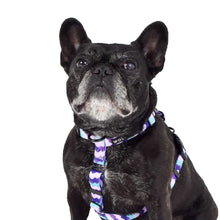 Wolves of Wellington  |  Sulley All Purpose Harness 2.0