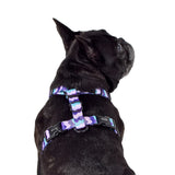 Wolves of Wellington | Sulley All Purpose Harness 2.0 LAST CHANCE