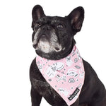Wolves of Wellington x Smack Bang Mesh Bandana | Smack Bang