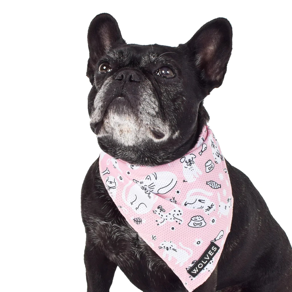 Wolves of Wellington x Smack Bang Mesh Bandana | Smack Bang