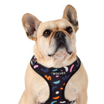 Wolves of Wellington Bel Air Mesh Harness | Smack Bang