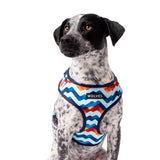 Wolves of Wellington Maverick Mesh Harness | Smack Bang