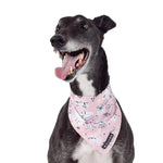 Wolves of Wellington x Smack Bang Mesh Bandana | Smack Bang