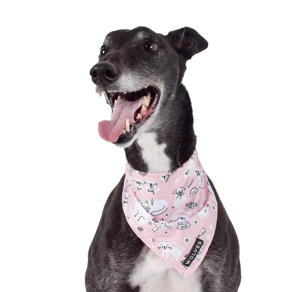 Wolves of Wellington x Smack Bang Mesh Bandana | Smack Bang